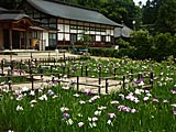 大安禅寺の画像　福井県の観光地