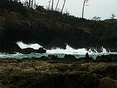 越前海岸　亀島の画像