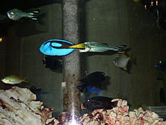 越前松島水族館　本館の画像