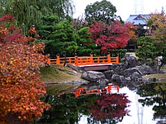 紫式部公園の紅葉の画像