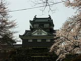 越前大野城と亀山公園の桜の画像　福井県の観光地