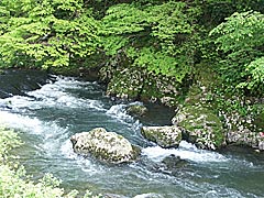 竹田川渓谷下流の画像