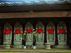越前市旧武生のお寺巡り　金剛院の画像