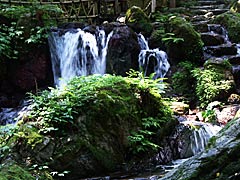 瓜割の滝の画像