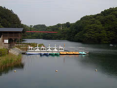 石川県森林公園のボートに乗れる池の画像