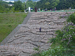 内川スポーツ広場の岩登りの画像