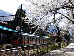 古宮公園の桜の画像