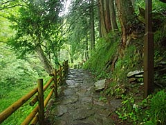阿弥陀ヶ滝の画像