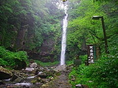 阿弥陀ヶ滝の画像