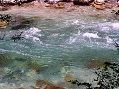 上高地梓川の透き通った水の画像
