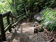 善五郎の滝の遊歩道　乗鞍高原の画像