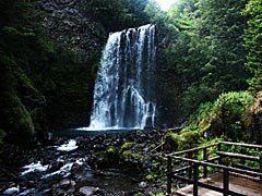 滝つぼ付近からの善五郎の滝　乗鞍高原の画像