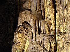飛騨大鍾乳洞の第2洞の画像