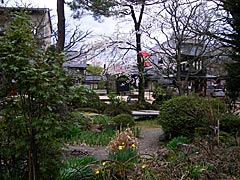 飛騨国分寺の庭の画像