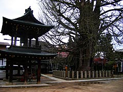 飛騨国分寺の画像