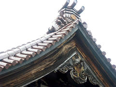 �K�C�R�R�[���@�Q�̑��莛�̉摜