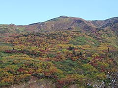 白山の紅葉の画像