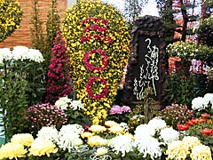 ���R�s���C�����^�������̋e�ԃt�F�X�e�B�o���̉摜