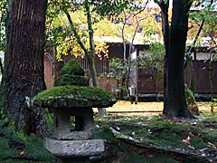 �ߒJ���̉摜