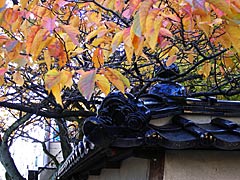 松月寺（寺町寺院群）の紅葉の画像