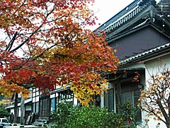 蓮昌寺（卯辰山山麓寺院群）の紅葉の画像