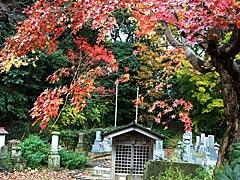 宗龍寺（卯辰山山麓寺院群）の紅葉の画像
