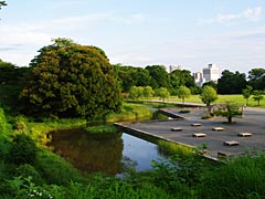 金沢城公園の湿生園の画像