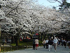 �j��̉摜�@���Z��