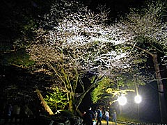 ���Z���̍��̃��C�g�A�b�v�̉摜