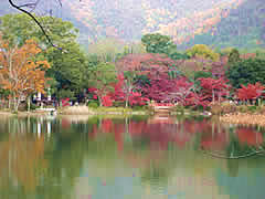 大覚寺の大沢の池の画像　京都の紅葉