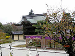 大覚寺の紅葉の画像