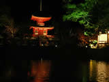 京都の大覚寺の紅葉ライトアップの画像