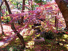 �i�ϓ��̉摜�@���s�̍g�t