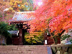法輪寺の京都の画像