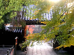 法輪寺の京都の画像