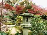 京都の実光院の紅葉の画像