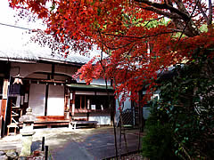 十輪寺の紅葉の画像