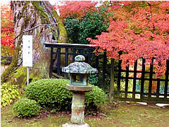十輪寺の紅葉の画像