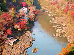 嵐山公園（亀山公園）の紅葉の画像