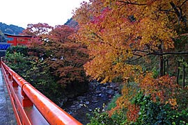 貴船神社の紅葉の画像