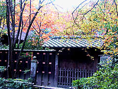 高山寺の画像　京都の紅葉