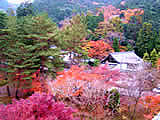 京都の南禅寺の紅葉の画像