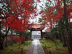 鹿王院の紅葉の画像