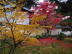 鹿王院の紅葉の画像