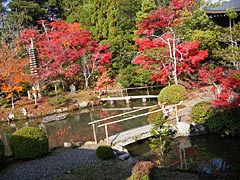 清涼寺の紅葉の画像