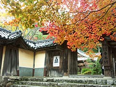 神護寺の紅葉の画像