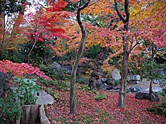 渉成園の紅葉の画像