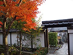 妙心寺退蔵院の紅葉の画像