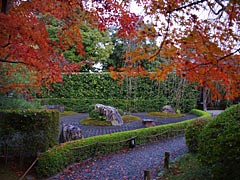 妙心寺退蔵院の紅葉の画像