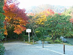 天龍寺の庭園の紅葉の画像